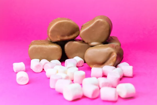 Milk Chocolate Covered Marshmallows